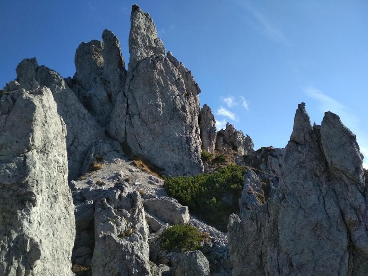 Villa Liptovmara Ižipovce Zewnętrze zdjęcie